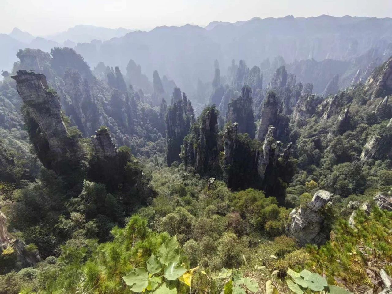 1730974563980780.jpg 1730974563980780.jpg